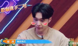 娱乐吃瓜社王嘉尔,娱乐圈的“瓜王”传奇